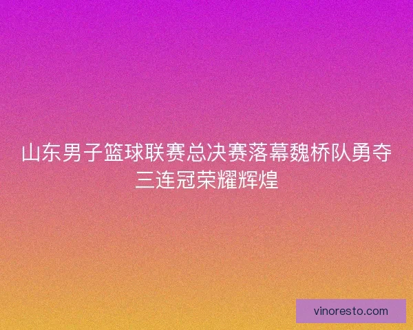 山东男子篮球联赛总决赛落幕魏桥队勇夺三连冠荣耀辉煌