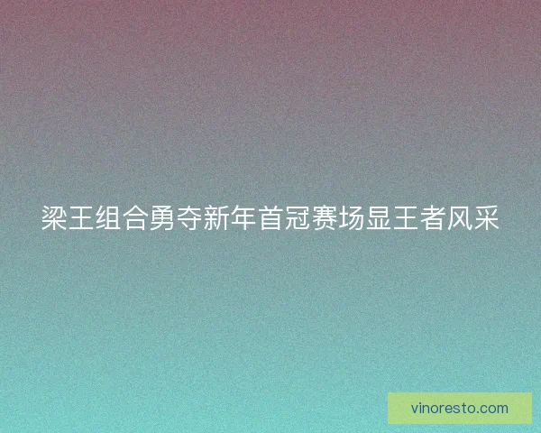 梁王组合勇夺新年首冠赛场显王者风采